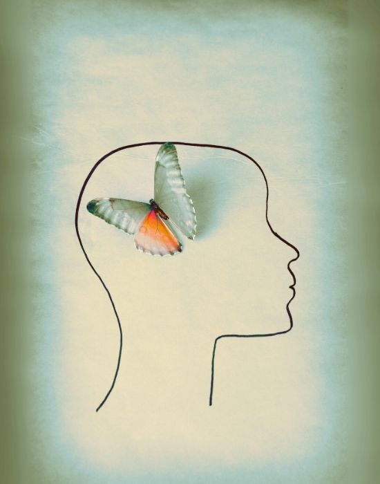 Head outline with a butterfly sitting in place of the brain on a bluish background indicating the transformative ability of the brain to heal and recover.