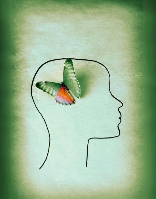 Head outline with a butterfly sitting in place of the brain on a bluish background indicating the transformative ability of the brain to heal and recover.