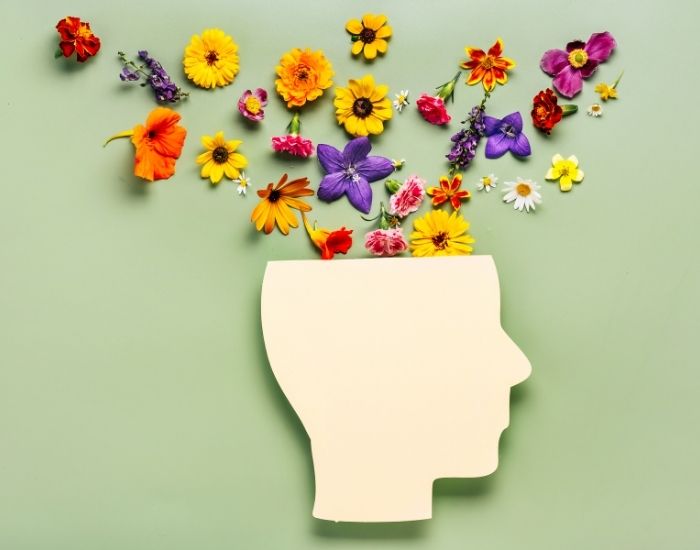 Someone's arm stopping the fall over of a row of wooden block dominoes representing how engaging with recovery stops the continual consequences of toxic stress, trauma and complex trauma.